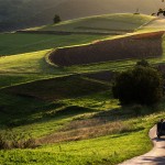 Udział w XXXI dorocznej wystawie RTF