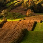 Nagroda „Srebrne oko” w 3 dorocznej wystawie Fotoklubu RP Region Radomski