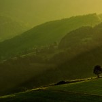 Wystawa grupy ProFoto „Przebudzenie”