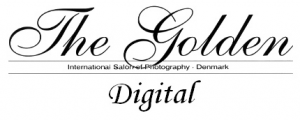 Złoty medal Golden Digital w międzynarodowym konkursie The Golden Digital 2010 w Danii