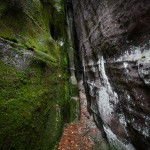 Udział w wystawie pokonkursowej XVI Biennale Fotografii Górskiej w Jeleniej Górze