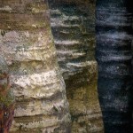 Wystawa grupy ProFoto „Obłędne skały”