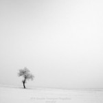 Wystawa „Czarne i Białe” w Galerii Libra w Szczecinie