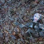 Udział w wystawie „Zbliżenia” członków Fotoklubu Rzeczpospolitej Polskiej Region Radomski