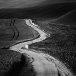 Udział w dorocznej wystawie Radomskiego Towarzystwa Fotograficznego