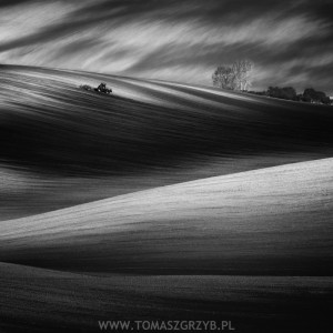 "Fields of lights and shadows" autor: Tomasz Grzyb