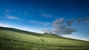 "The Fields of Tuscany". Tomasz Grzyb