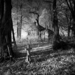 Nagroda specjalna na II dorocznej wystawie członków Fotoklubu RP i Grupy „Bez Nazwy”