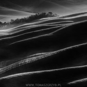 "Black Hills", Tomasz Grzyb