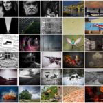 Udział w dorocznej wystawie Fotoklubu RP region Radomski