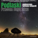 Wirtualna wystawa poplenerowa – Podlaski Przełom Bugu 2020