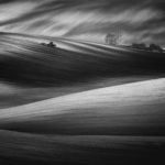 Nagroda na 5th WOJNICZ INTERNATIONAL SALON OF PHOTOGRAPHY 2019